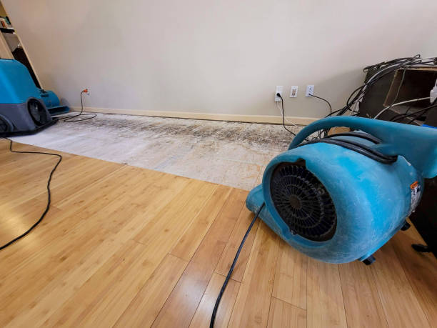 Professional Water Removal technician working in Bartow, FL